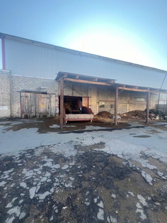 Продаж палетного заводу, Рівненська область, виробництво - фото 1