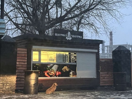 Маф кав'ярня  кіоск Шаурма Житомир