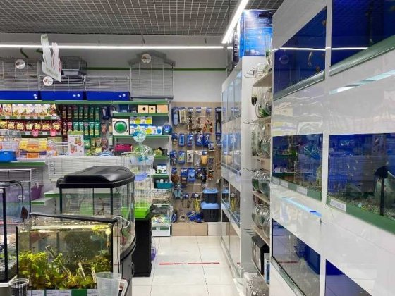 Продаж фасадного приміщення з орендарем у трафіковому місці Окупність Київ