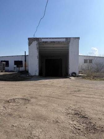 Овочесховище 2600 кв.м. Висота в'їзних воріт 4м/Висота основного приміщення до 7 м/Окрема територія/ - фото 1