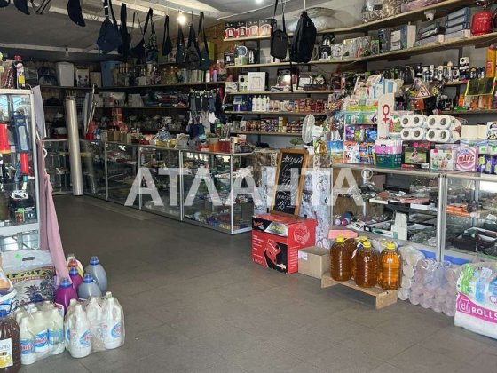 Помещение под магазин в центре с.Усатово Усатово