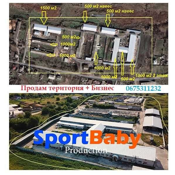 Продаж діючого деревообробного комплексу (Експорт / Amazon) - фото 1