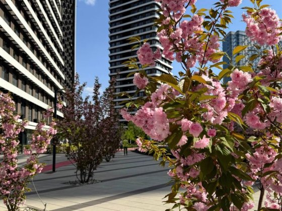 Терміновий продаж 71м2 ЖК Great Грейт Позняки Дніпровська наб. Київ