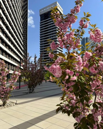 Терміновий продаж 71м2 ЖК Great Грейт Позняки Дніпровська наб. - фото 1