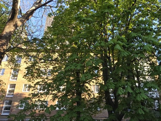 Продам 2х кімнатну квартиру вул. ПАВЛА ЧУБИНСЬКОГО 4А Київ