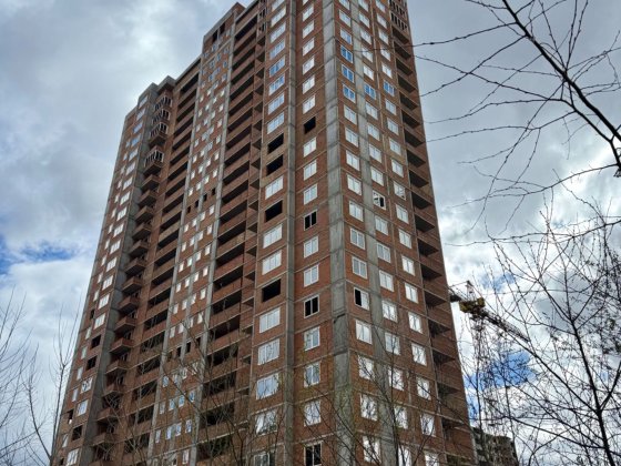 Продаж 2К «Патріотика» «Батурин» Софії Русової / Бориса Гмирі