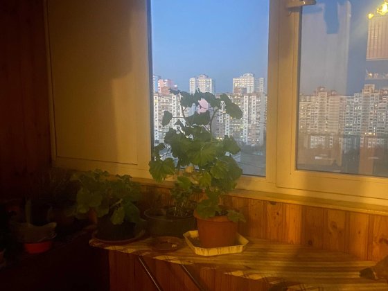 Без комісії 59 900$ Торг продаж 2к квартири (16/16): вул. Олександри Екстер, 16 В, м. Київ, Деснянсь Київ