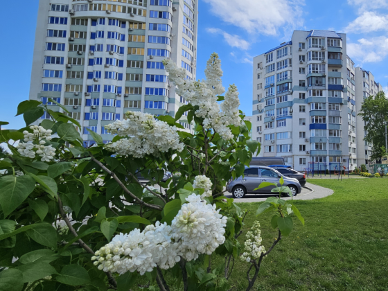 СІМЕЙНА 2кім.кв МРІЇ в СУЧАСНОМУ ЖК Нова Митниця Черкассы