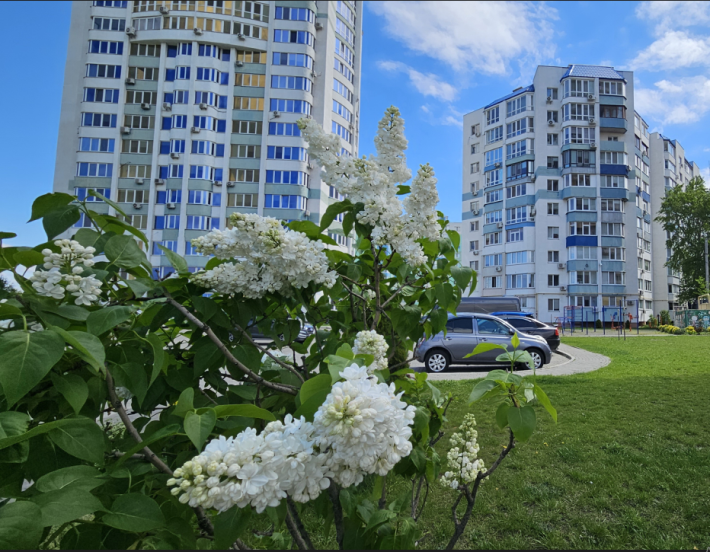 СІМЕЙНА 2кім.кв МРІЇ в СУЧАСНОМУ ЖК Нова Митниця - фото 1