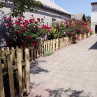 Продається затишний будинок з ділянкою в м.Знам'янка Кіровоградської обл. Знаменка