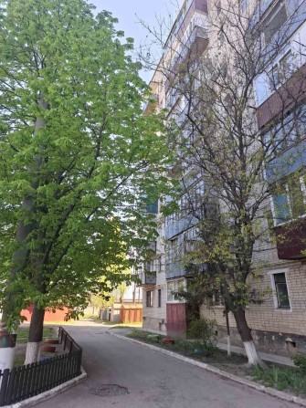 Продаж 1 кімнатної квартири в м.Сміла - фото 1