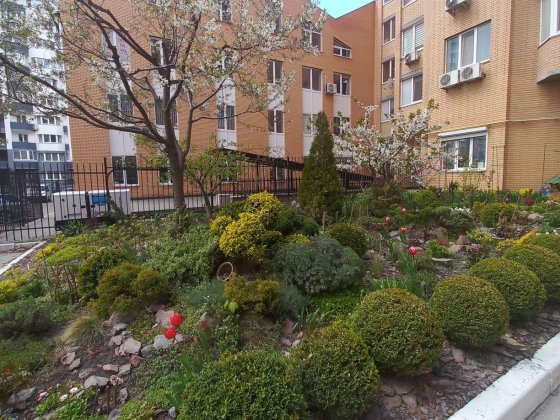 Продам 1- но кімн., кв. С. Петлюри 21 Бровари