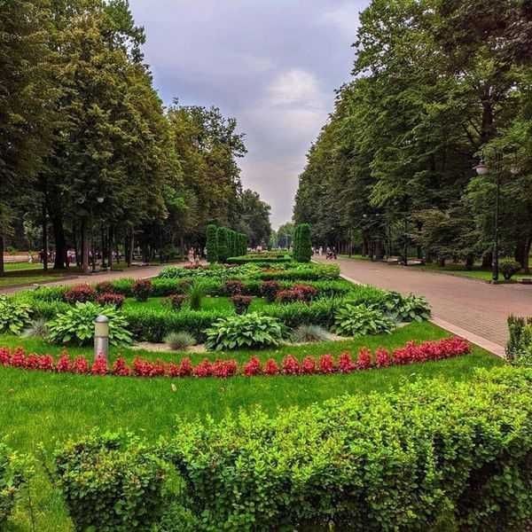 1-кімнатна - 5 хв пішки до Парку Шевченка! - фото 1