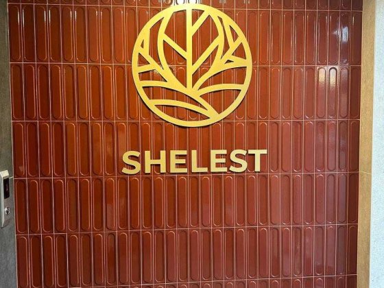 1-кімнатна квартира в будинку клубного типу "Shelest" Ивано-Франковск