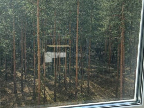 Євродвокімнатна квартира в Центрально парку! 47 м2! Програми Так!