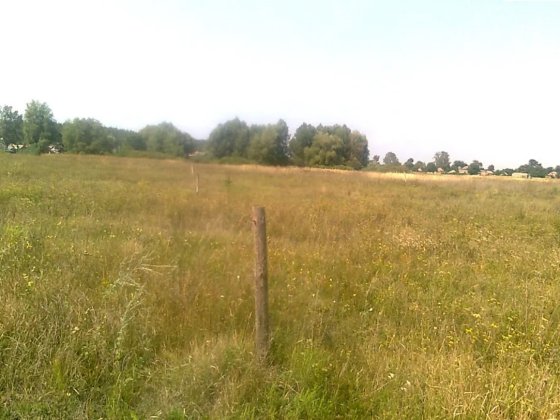 Продається ділянка в с.Левків Житомир