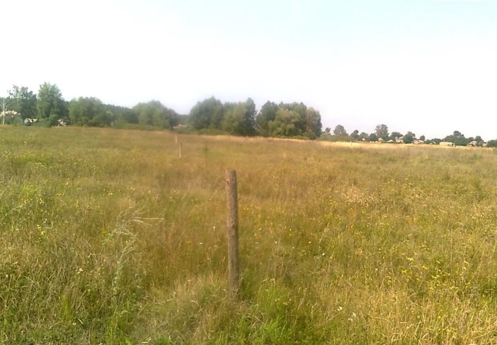 Продається ділянка в с.Левків - фото 1