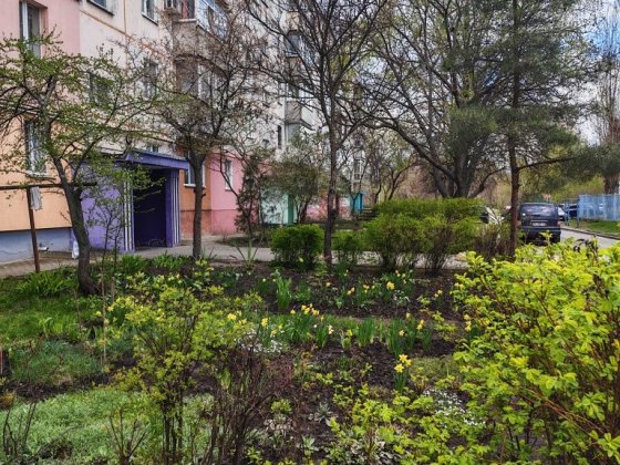 Продам 3 кімнатну квартиру на проспекті Свободи Сумы