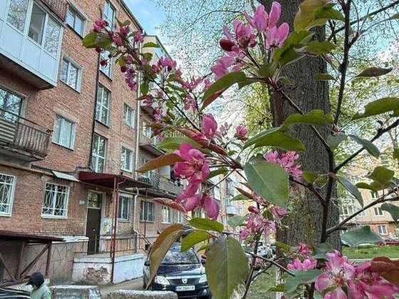 Продам 2 кімн квартиру Рівне