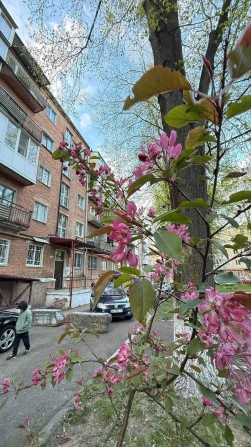 Продам 2 кімн квартиру - фото 1