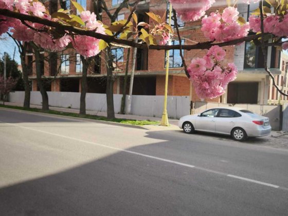 Продається однокімнатна квартира, ЖК Valencia Код: 38941* Ужгород