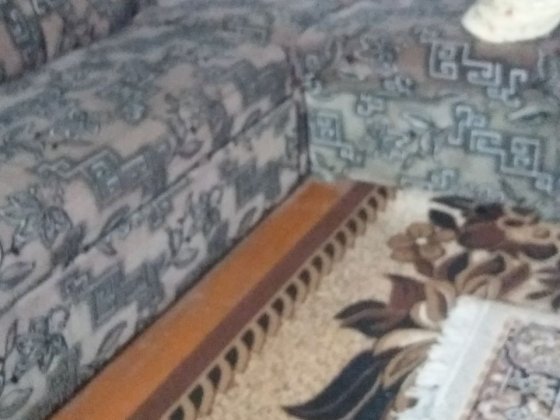 Сдам кімнати в будинку Суми