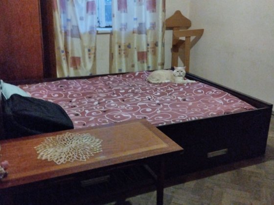 Сдам кімнату в двухкімнатной Львів