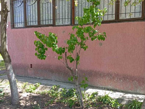 Продаю 1 комнатную квартиру  ЮТЗ Николаев