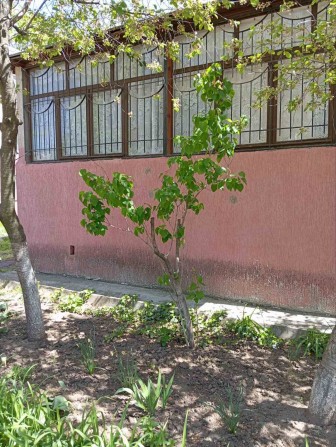Продаю 1 комнатную квартиру  ЮТЗ - фото 1
