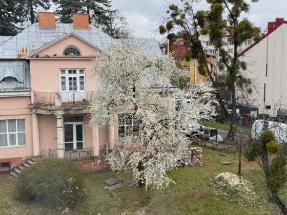 Продаж 1 кімнатна квартира вул. Рудницького, євроремонт. Львів