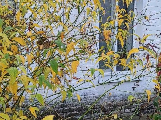 Продаю домик-квартиру в центре Верхньодніпровськ