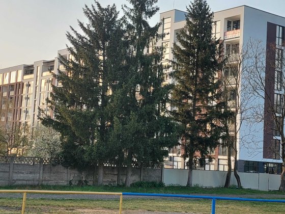 Продаж 1-к квартири у місті  Свалява, вул. Фізкультурна 2.Ж,К,"Набєрежний квартал" Свалява