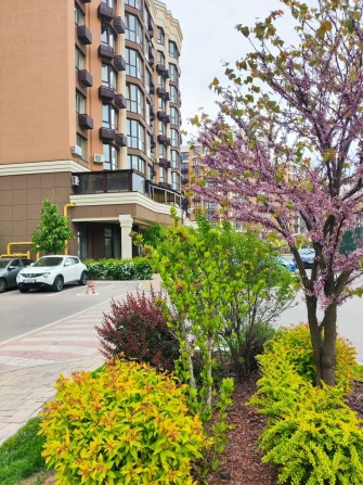 Однокімнатна квартира в Sofia Residence! Продаж 1к 40,1 м.кв. без %. - фото 1