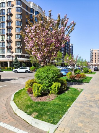 Однокімнатна квартира в Sofia Residence, заселений будинок, 1к без %. - фото 1