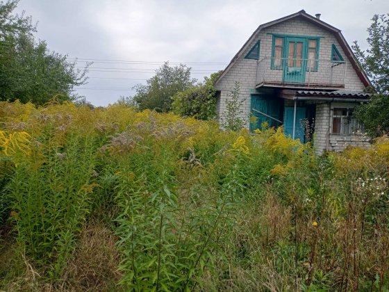 Оренда. Дачний будинок з садибною ділянкою, р-н Півці, с/т Зарічне Чернигов