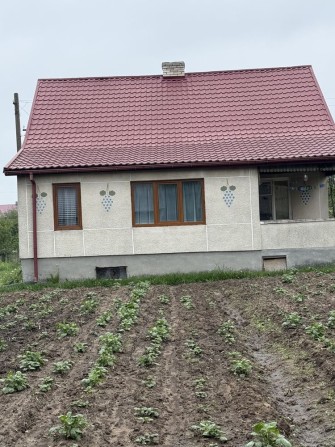 ‼️Оренда будинку смт. Шкло - фото 1