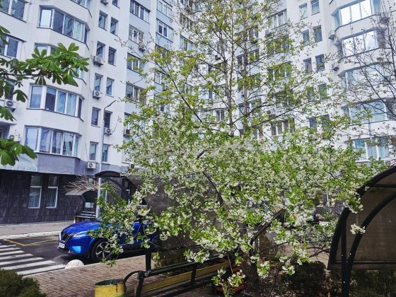 Без %, пр.Бажана.16, Осокорки Позняки двохкімнатна квартира 75 м кв на 3 поверсі.