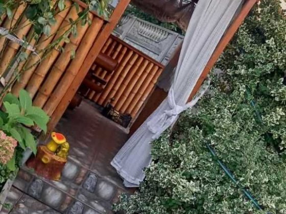 Оренда приватного будинку з фруктовим садом альтанкою паркінгом 3 кімн Київ Поділький район Пріорка  Київ