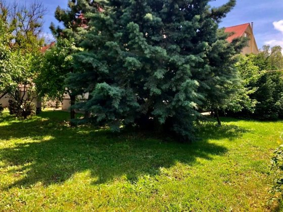 Сдам дом 150 м 4 комнаты,гараж,подвал, генератор оптиковолокно интернет, животных можно, сад! Одесса