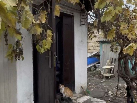 Сдается домик Свой двор Центр Таирова 4ст Люстдорфск.дор/Д.Донского Одесса