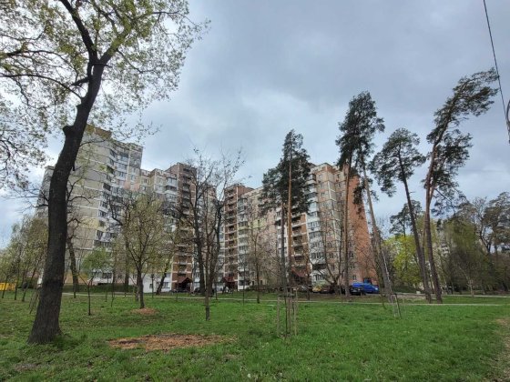 Вул Ореста Васкула (Федори Пушиної) 49, Академмістечко Без% Київ