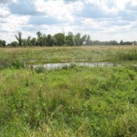 Продаж ділянки 25 соток в с. Рожни, Бровари! Рожны