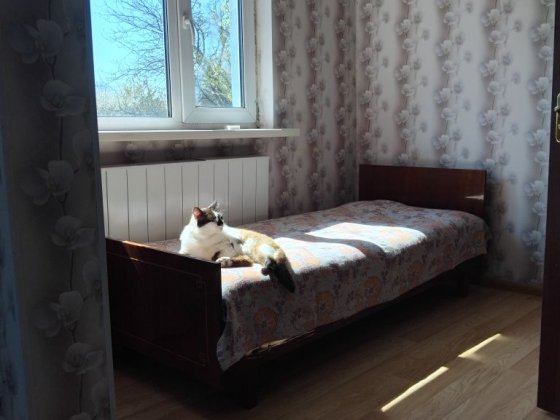 Сдам однокомнатную квартиру  на даче в Боярке.Параметры: комната 16 м кухня 11м Боярка