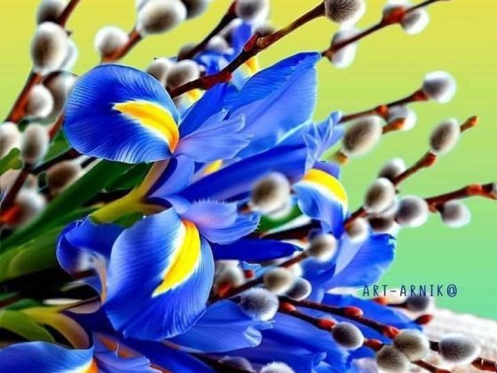 Здам квартиру в м.Звягель,однокімнатна на першому поверсі,44кв.м. Звягель