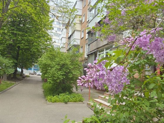 Оренда 3к Критий ринок Біла Церква