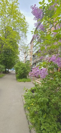 Оренда 3к Критий ринок - фото 1
