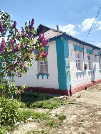 ТЕРМІНОВО!!!!Продається будинок в м Бобровиця Ніжинський район - фото 1