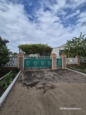 Будинок в Зеленому Гаю - фото 1