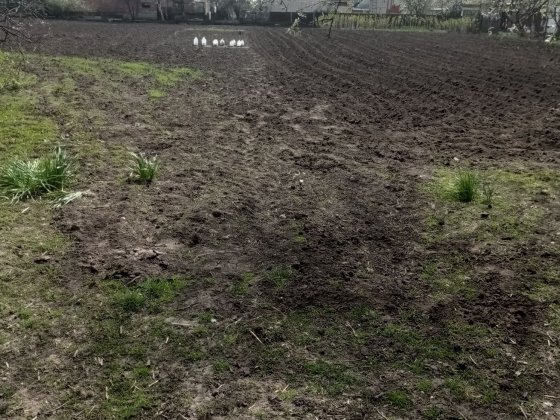 Продам будинок із земельною ділянкою в м. Калинівка Калиновка