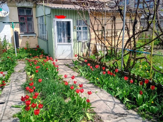 Продам будинок в м.Козятин Козятин